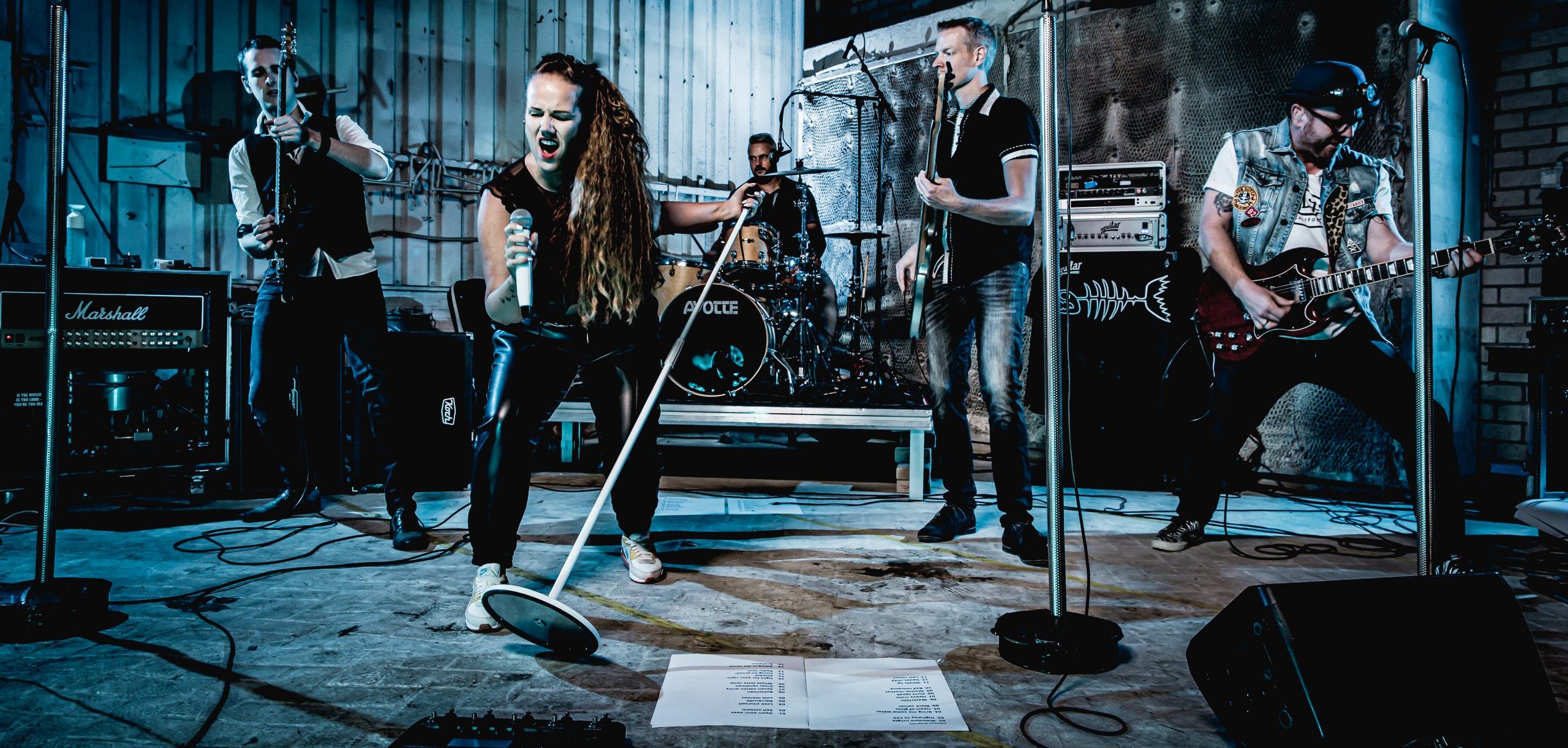 Band Barracuda Rock Rock With A Bite